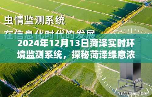 探秘菏泽绿意浓时,实时环境监测系统邀您共赏自然之美