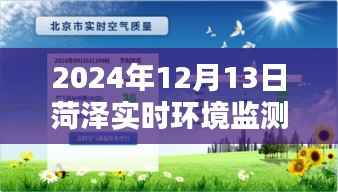 探秘菏泽绿意浓时,实时环境监测系统邀您共赏自然之美