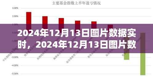 2024年12月13日图片数据实时获取与处理步骤指南,从初学者到进阶用户的全面指南