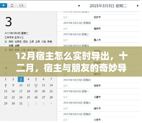 十二月宿主与朋友的奇妙导出之旅,实时操作指南