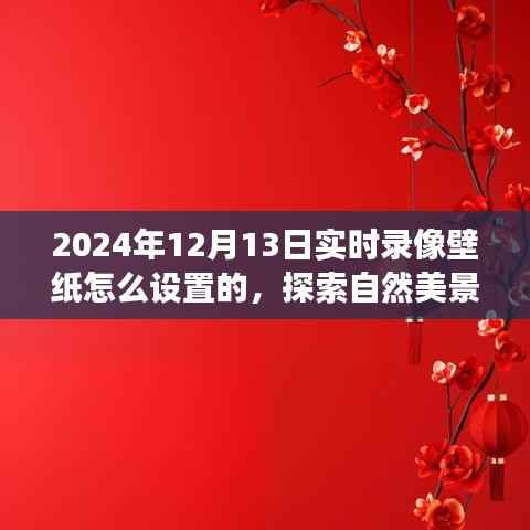 探索自然美景之旅,如何设置实时录像壁纸,寻找内心的平和宁静(2024年12月13日教程)