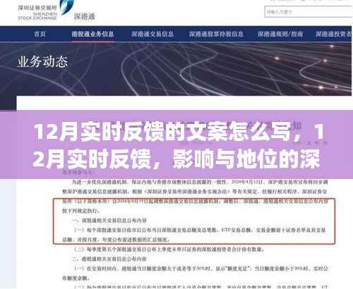 深度剖析,12月实时反馈的影响力与地位,文案撰写指南