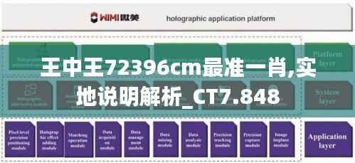 王中王72396cm最准一肖,实地说明解析_CT7.848