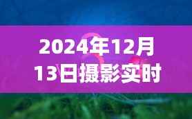 超越想象,智能实时显示电脑与摄影艺术的未来交汇