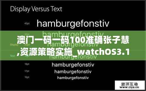 澳门一码一码100准确张子慧,资源策略实施_watchOS3.172