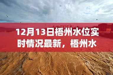 梧州水位实时更新,变化中的力量,学习与成就的自信之旅