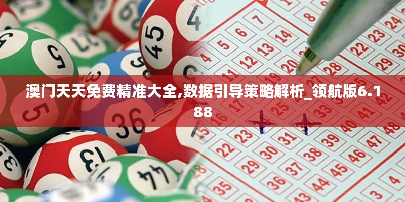 澳门天天免费精准大全,数据引导策略解析_领航版6.188