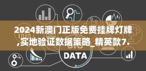2024新澳门正版免费挂牌灯牌,实地验证数据策略_精英款7.313