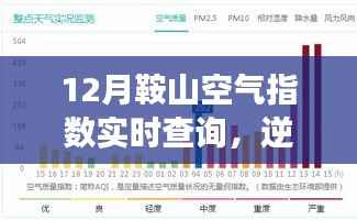 鞍山十二月空气质量实时追踪,逆风翱翔,感受清新空气的魅力与未来展望