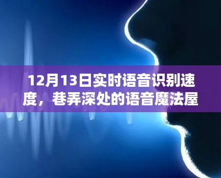 揭秘实时语音识别速度,巷弄深处的语音魔法屋在12月13日的秘密揭晓