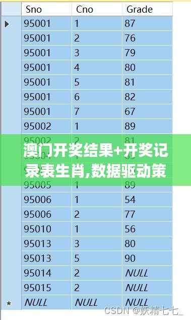 澳门开奖结果+开奖记录表生肖,数据驱动策略设计_8DM7.993