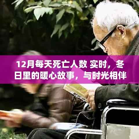 冬日暖心故事,实时关注12月每日死亡人数,陪伴时光,温暖不再孤独