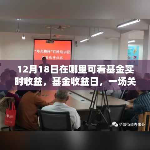 基金实时收益与友情交织的温馨故事,12月18日揭晓理财日与友情之旅