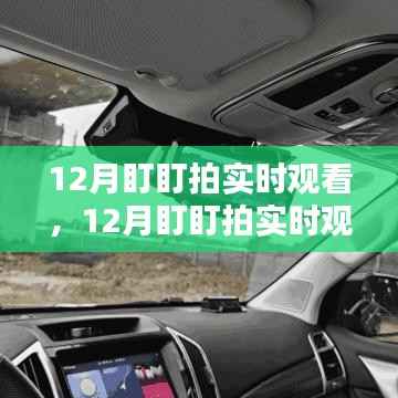 体验智能监控的魅力,12月盯盯拍实时观看