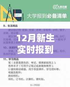 新生实时报到数据制作指南，从入门到精通的详细步骤介绍