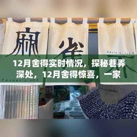 探秘巷弄深处的舍得惊喜,一家隐藏小巷中的特色小店揭秘的十二月故事