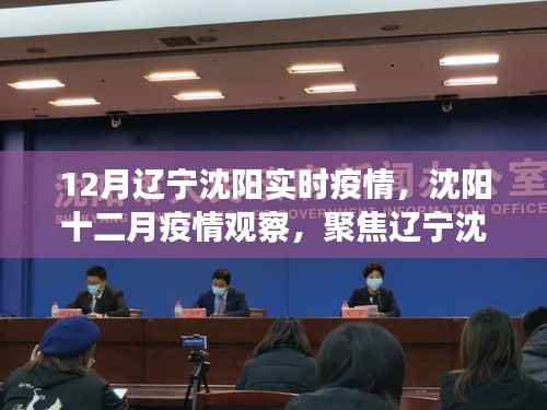 辽宁沈阳实时疫情观察,聚焦十二月疫情下的多方观点与个人立场