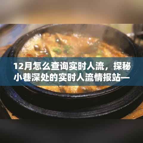 探秘隐藏式人流查询指南,实时掌握小巷深处人流情报的秘诀