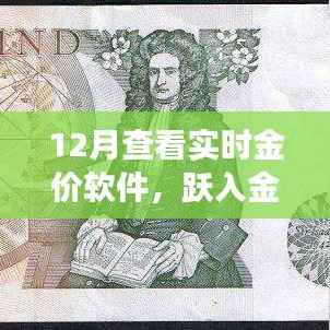跃入金海,实时金价软件助你扬帆起航,金银财富与自信人生的学习之旅