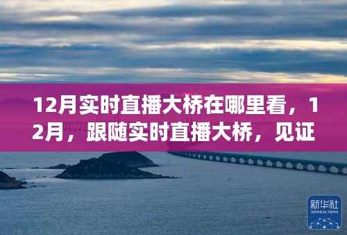 见证力量,12月实时直播大桥,自信成就之光展现变化力量