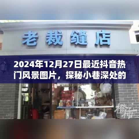 独出新裁 第2页