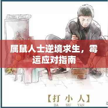 属鼠人士逆境求生,霉运应对指南