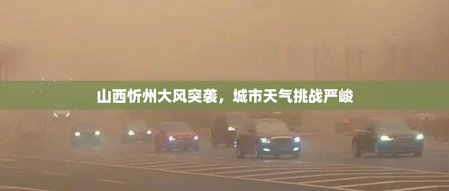 山西忻州大风突袭,城市天气挑战严峻