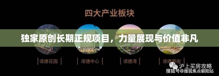 独家原创长期正规项目,力量展现与价值非凡