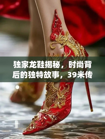 独家龙鞋揭秘,时尚背后的独特故事,39米传奇之旅!