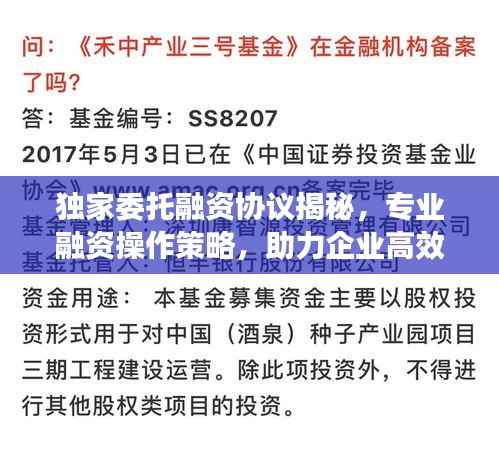 独家委托融资协议揭秘,专业融资操作策略,助力企业高效筹资!