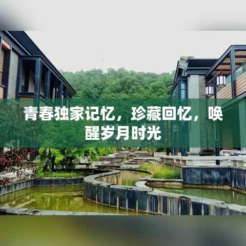 青春独家记忆,珍藏回忆,唤醒岁月时光