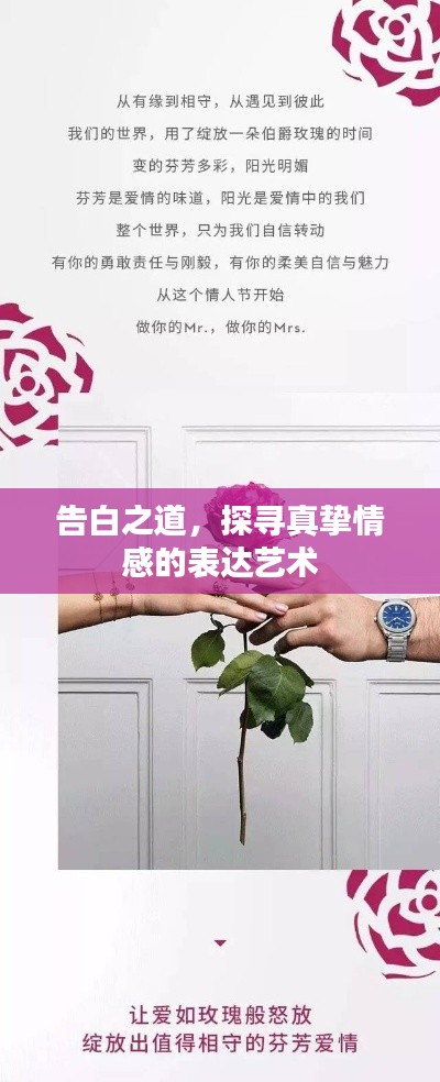 告白之道,探寻真挚情感的表达艺术