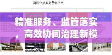 精准服务、监管落实,高效协同治理新模式构建之路