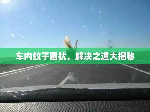 车内蚊子困扰,解决之道大揭秘