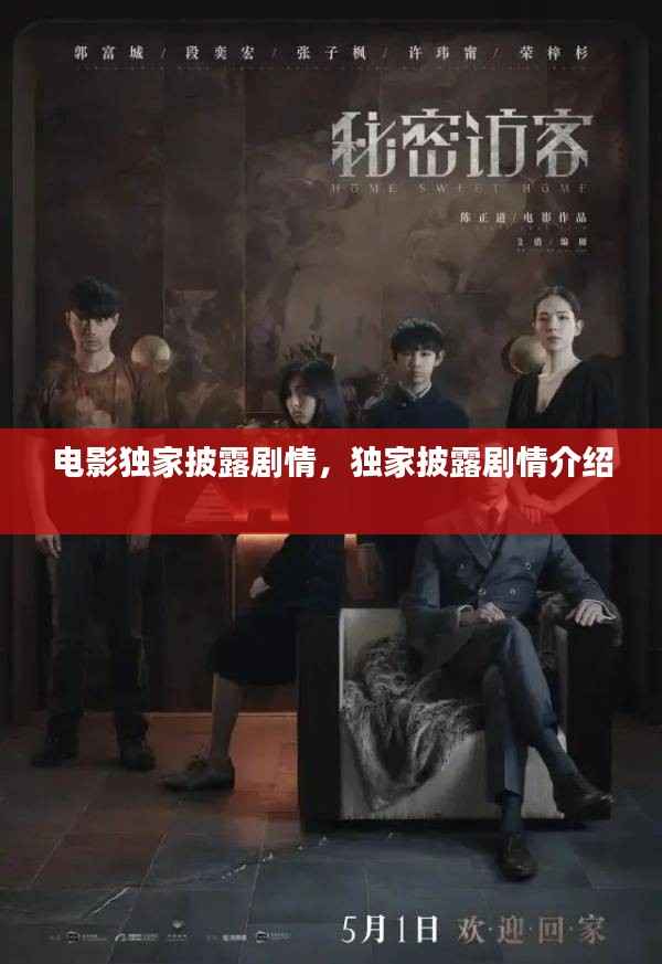 电影独家披露剧情，独家披露剧情介绍 