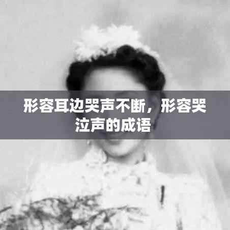 形容耳边哭声不断,形容哭泣声的成语