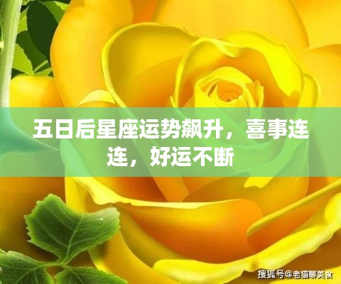 五日后星座运势飙升,喜事连连,好运不断