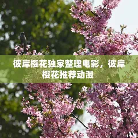 彼岸樱花独家整理电影,彼岸樱花推荐动漫