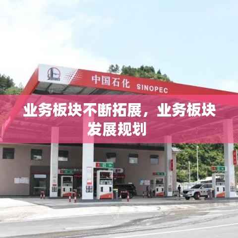 业务板块不断拓展,业务板块发展规划