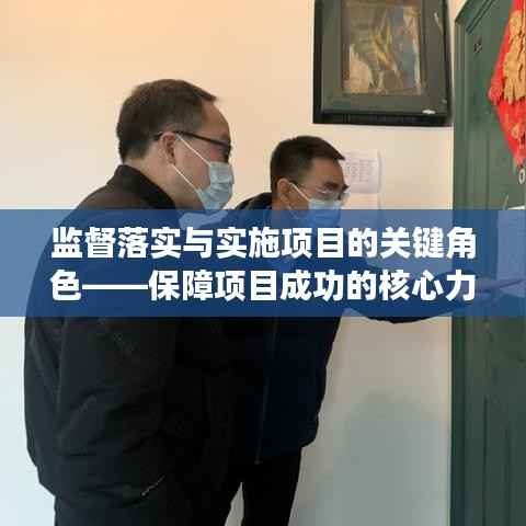 监督落实与实施项目的关键角色——保障项目成功的核心力量