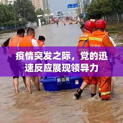 疫情突发之际,党的迅速反应展现领导力
