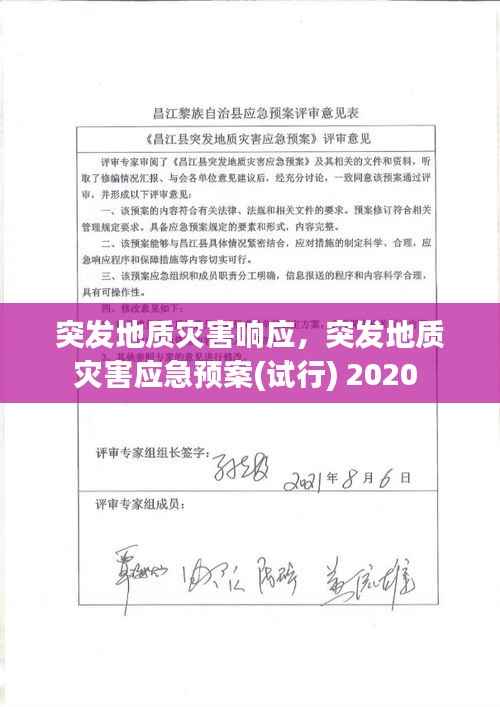 突发地质灾害响应,突发地质灾害应急预案(试行) 2020