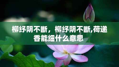 柳纾阴不断,柳纾阴不断,荷递香能细什么意思