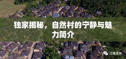 独家揭秘,自然村的宁静与魅力简介