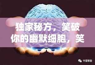 独家秘方,笑破你的幽默细胞,笑料大解密!