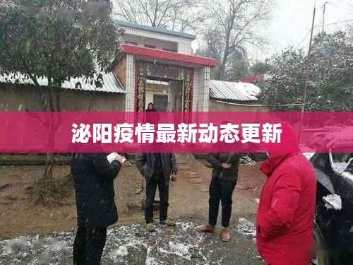 泌阳疫情最新动态更新