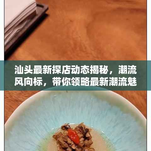 汕头最新探店动态揭秘,潮流风向标,带你领略最新潮流魅力