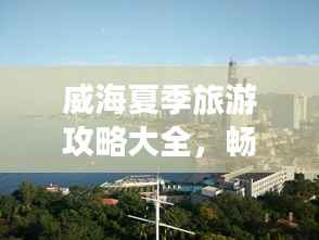 纲挈目张 第3页