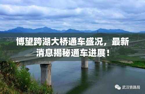 博望跨湖大桥通车盛况,最新消息揭秘通车进展!