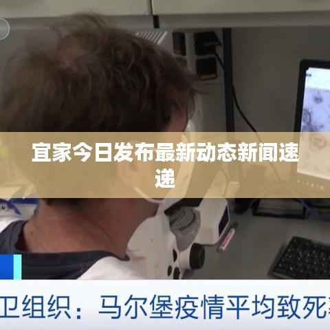 宜家今日发布最新动态新闻速递